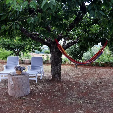A Volte In Collina Holiday home